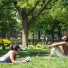 Gothamist Spring Guide: 16 Ways To Make April Amazing In NYC